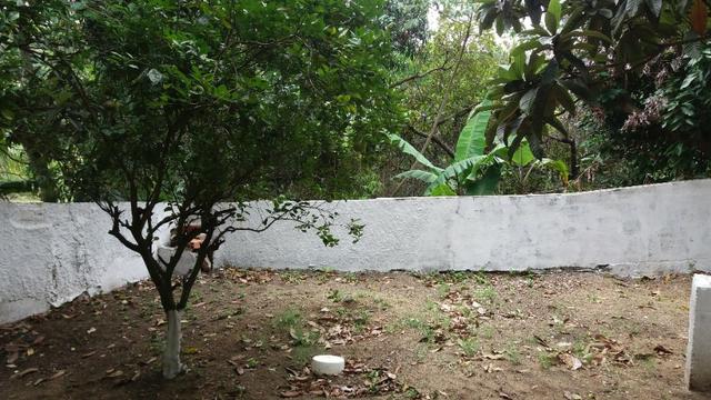 Pomar em Maricá - Foto 6