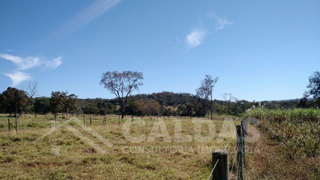 Fazenda de 10 alqueires para pecuária na região de Caldas Novas GO - Foto 6