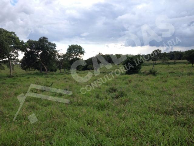 Fazenda de 10 alqueires para pecuária na região de Caldas Novas GO - Foto 2