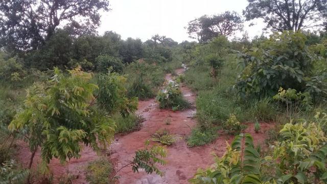 FAzenda de 234 alqueires na região de goianorte - Foto 4