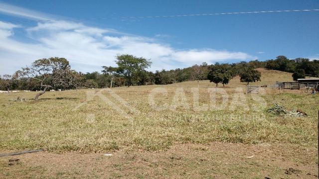 Fazenda de 10 alqueires para pecuária na região de Caldas Novas GO - Foto 9