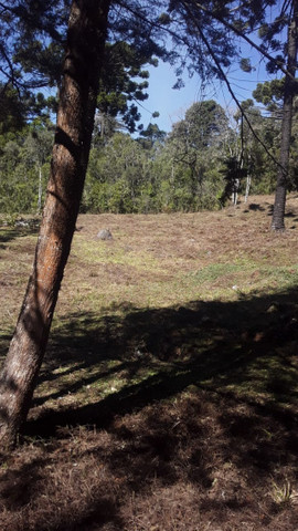 Belíssimo Terreno em Campos do Jordão!