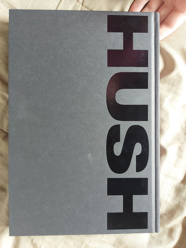 Absolute Batman Hush (silencio)  - Foto 2