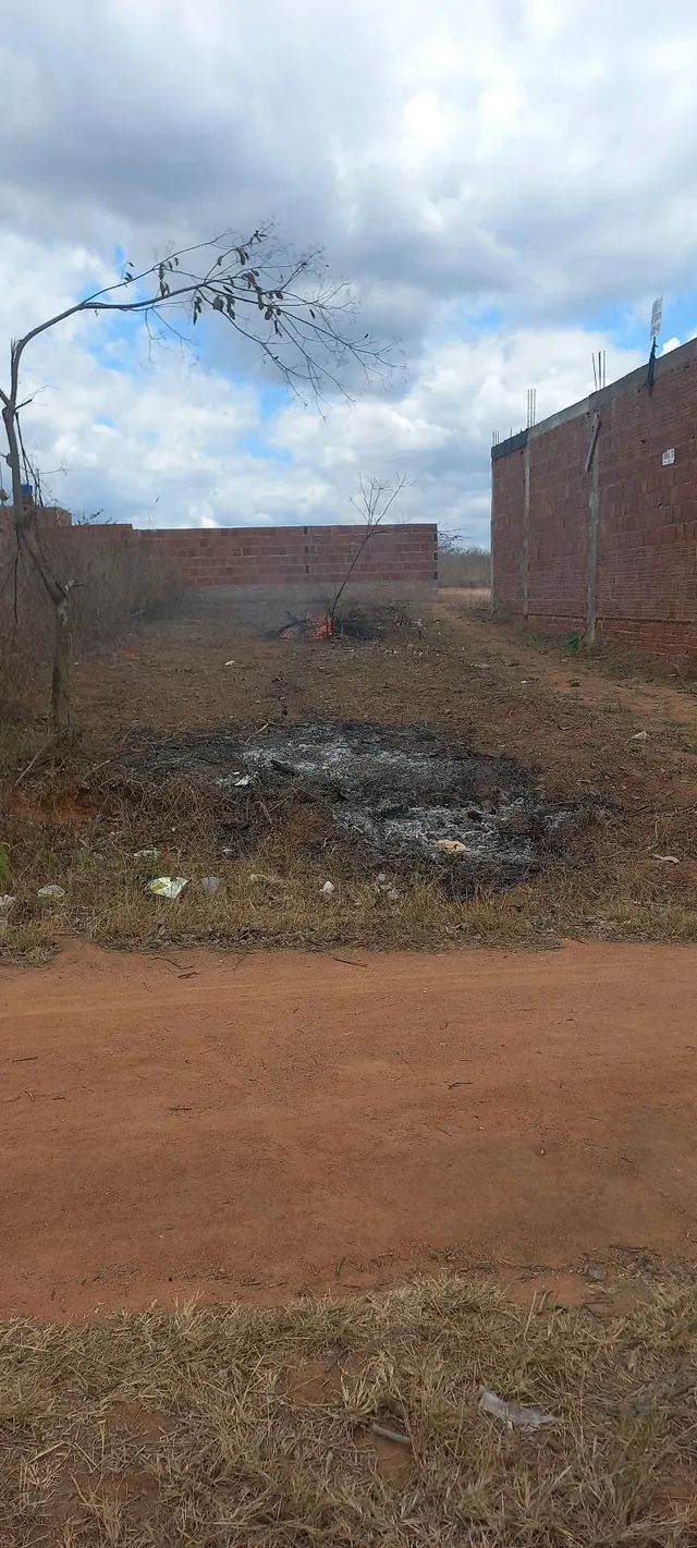 Vendo este terreno  na vila Rafael  próximo da BR 104 au lado do colégio 81. *  - Foto 3