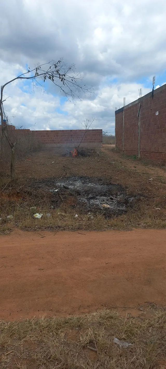 Vendo este terreno  na vila Rafael  próximo da BR 104 au lado do colégio 81. *  - Foto 2