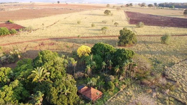Chácara 24 Hectares Terra Boa Jaraguari ! - Foto 2