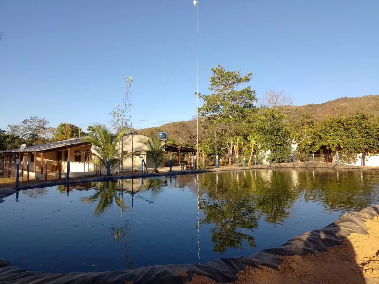 Fazenda Minas Gerais Buritis 