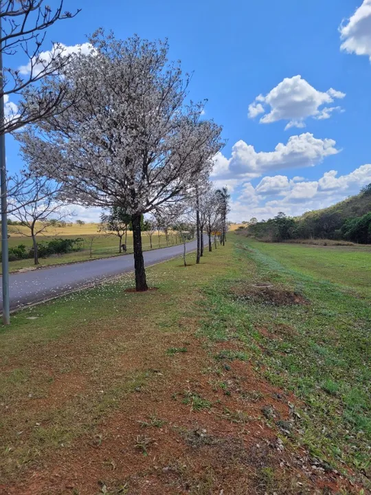 Apto 4/4 novíssimo no Alphaville, o paraíso do home office no DF. 19 km do Jardim Botânico