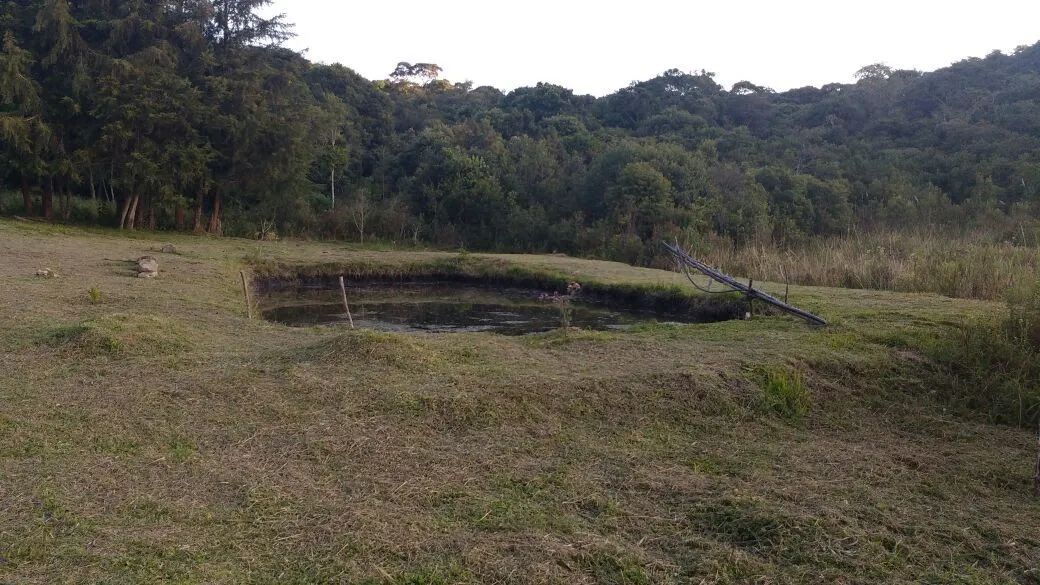 Chácara em Munhoz -MG - Foto 3