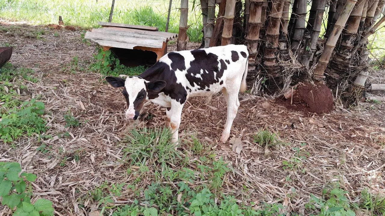 Pisos e Revestimentos - Foto 2