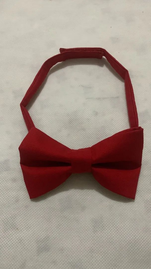 Gravata Borboleta  - Foto 2