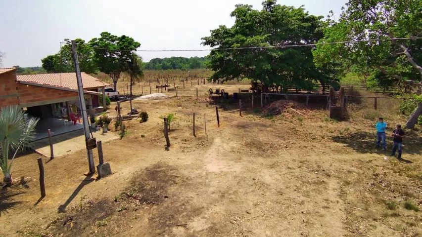 Fazenda dos sonhos 136 ha - Foto 4