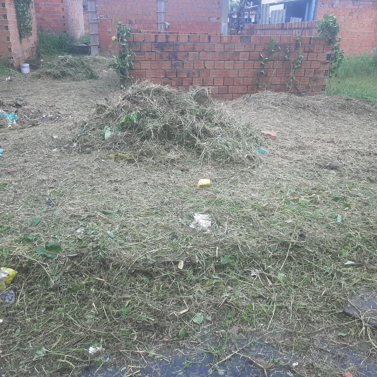 Terreno no icui conjunto uirapuru, 48,000