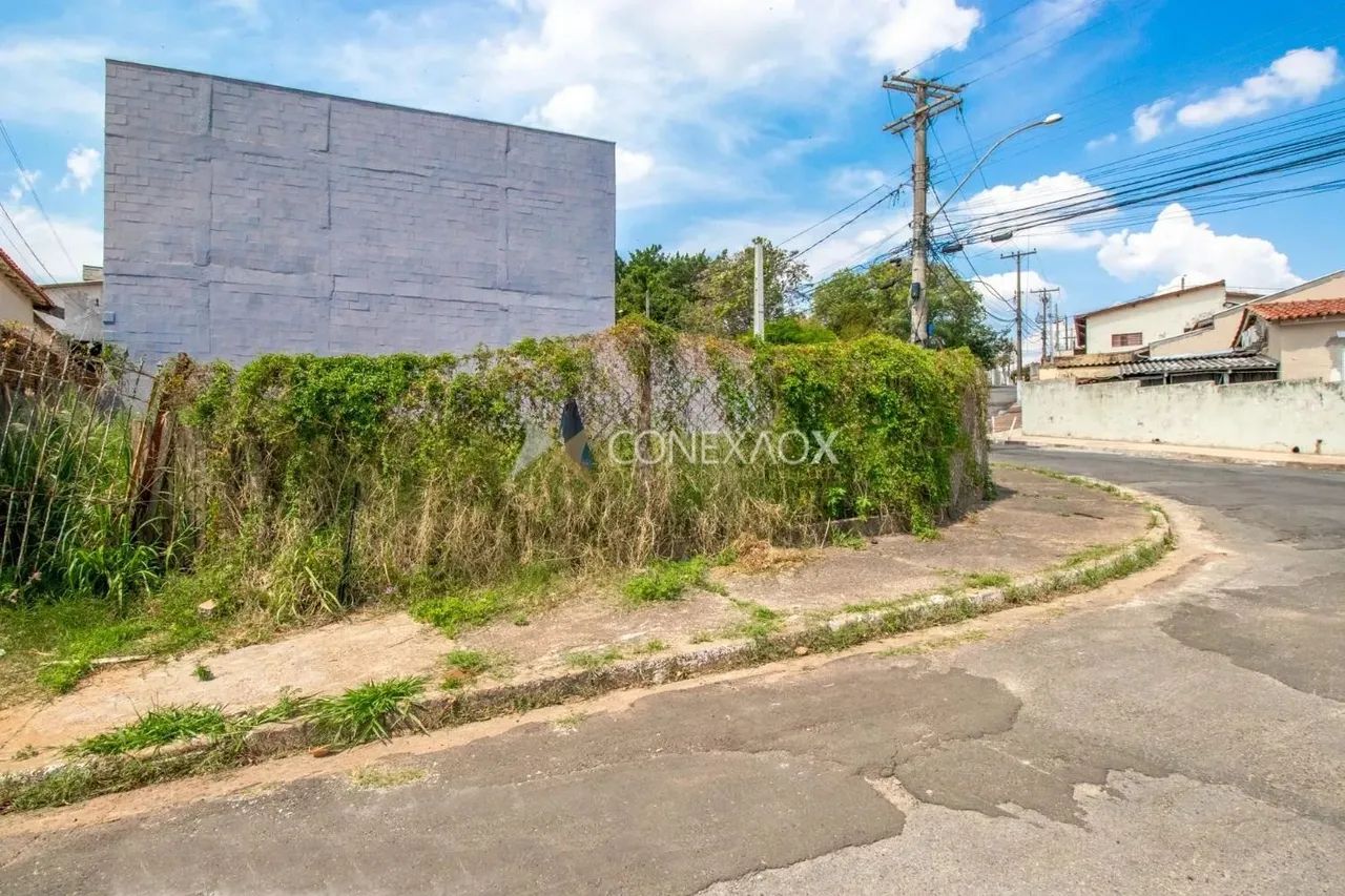terreno - Vila Marieta - Campinas - Foto 2