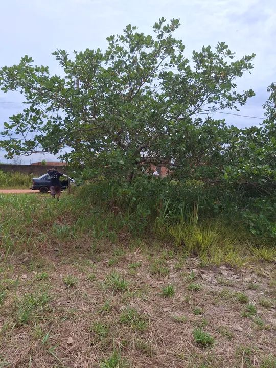 foto - Porto Velho - Flodoaldo Pontes Pinto