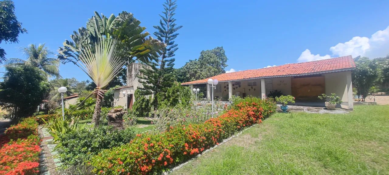 SÍTIO EM PINDORETAMA COM MUITAS BENFEITORIAS - Foto 3