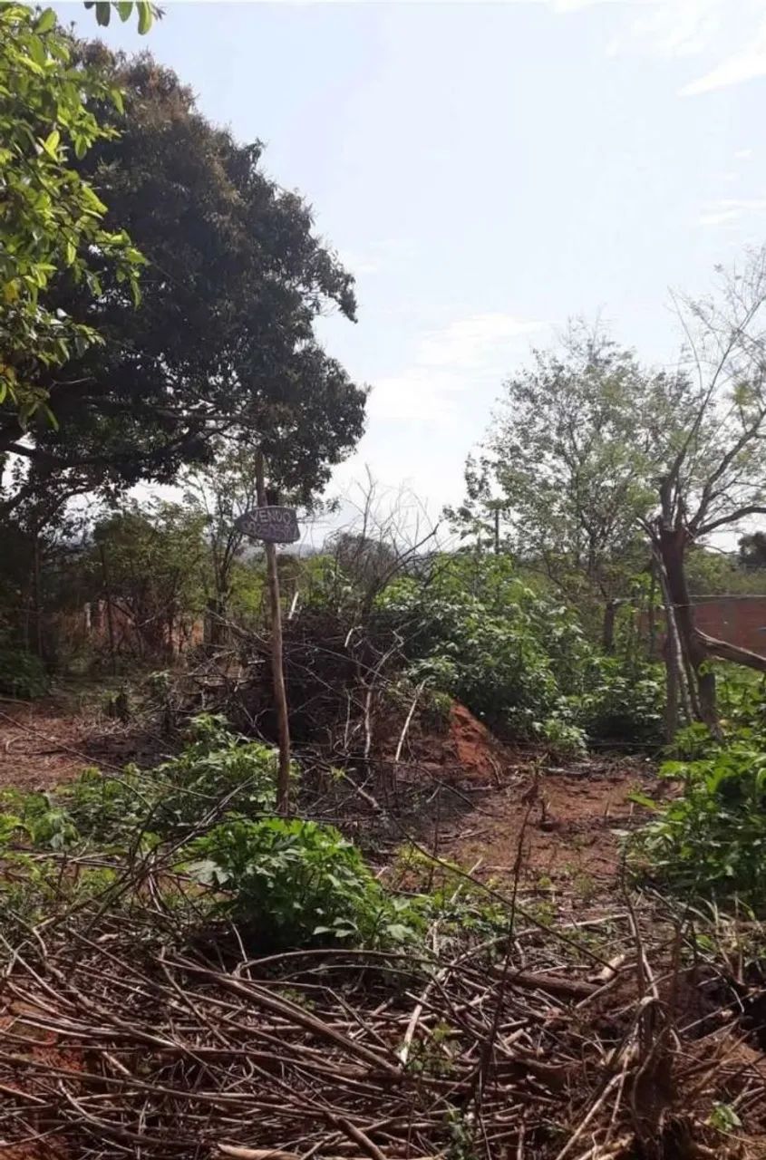 Terreno no Km 37