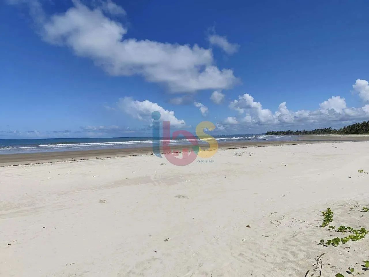 Vendo Sítio Frente Mar - Foto 2