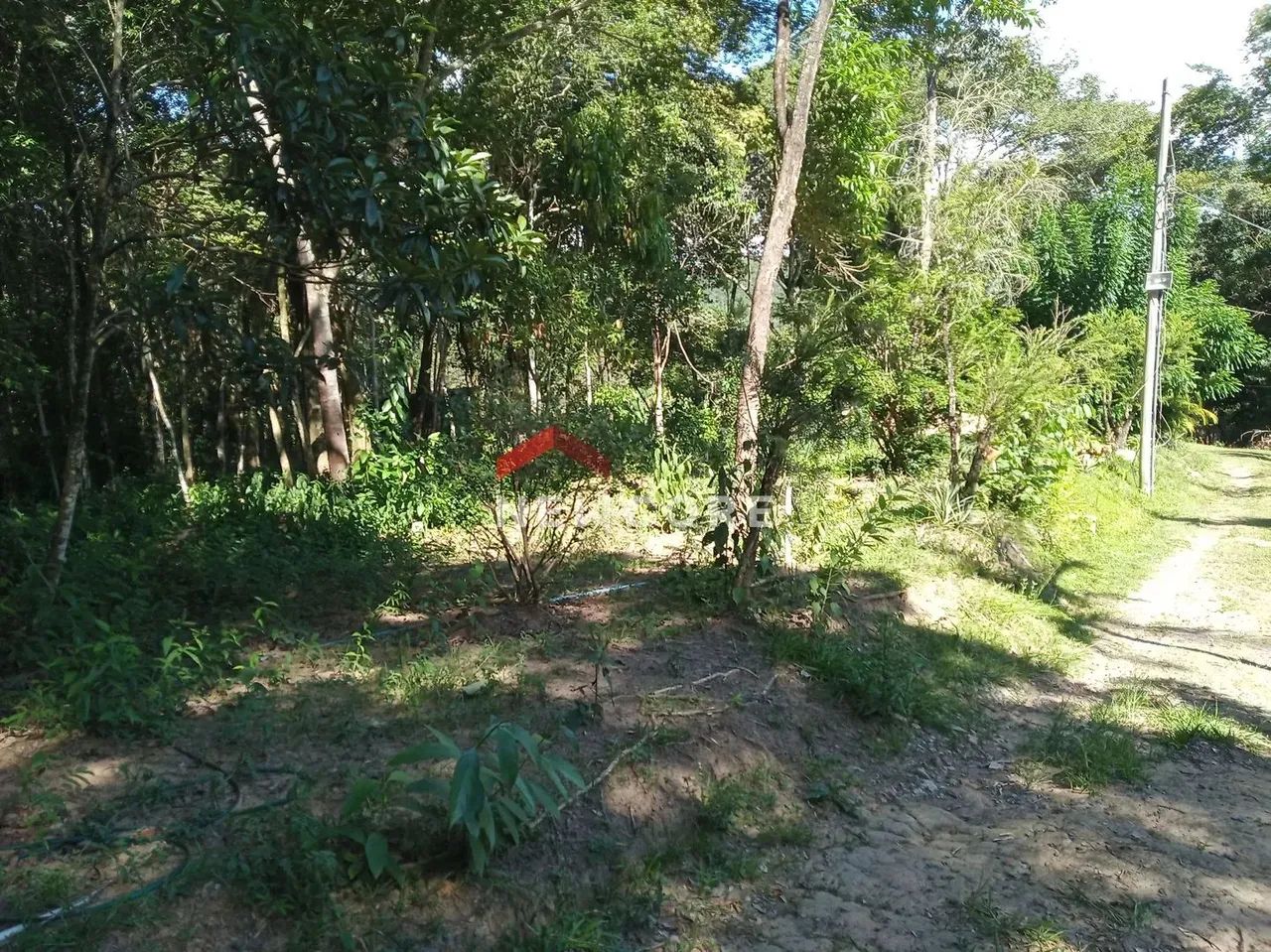 Sítio em 1 - Área Rural de Esmeraldas - Esmeraldas/MG - Foto 4