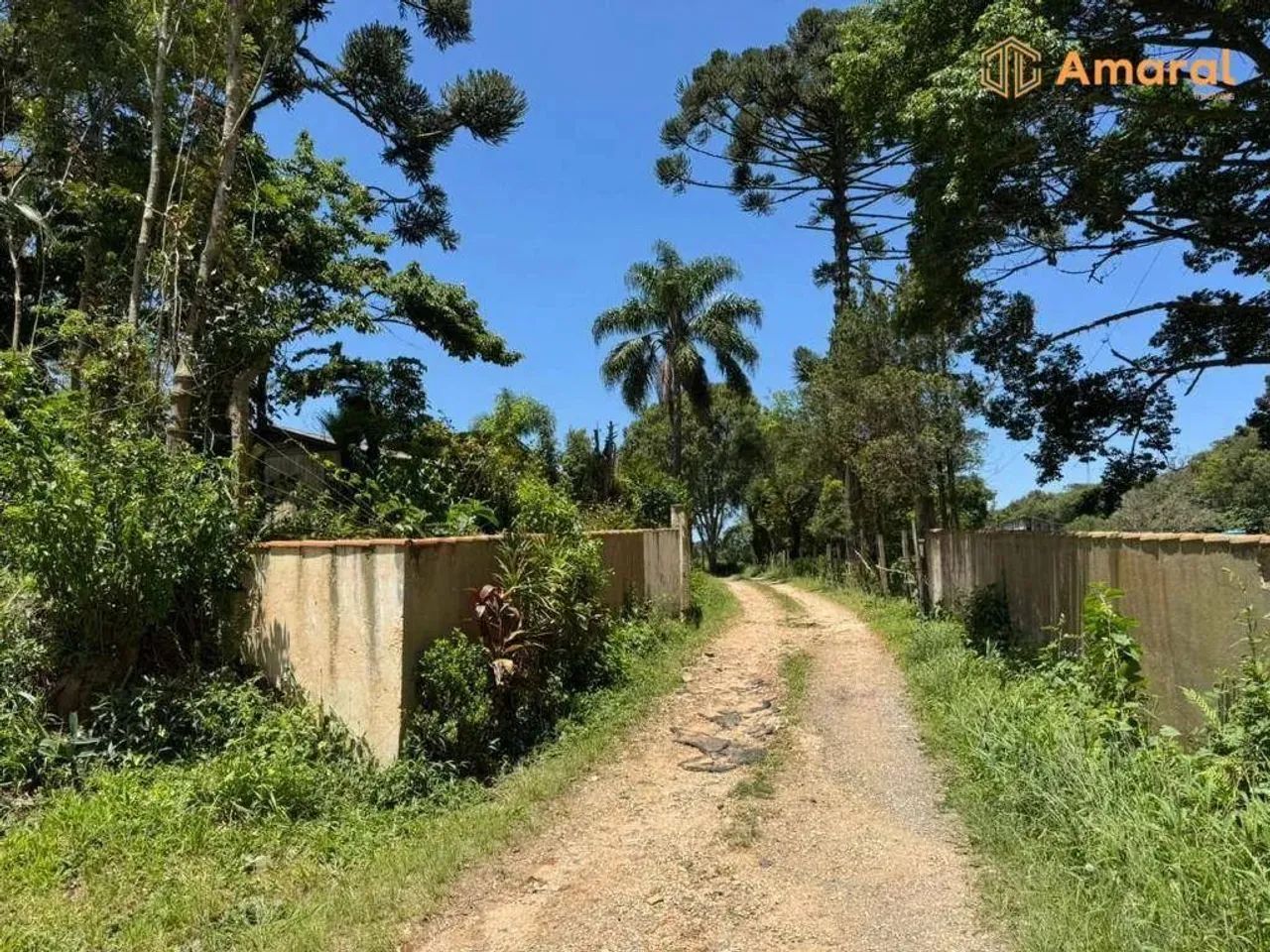 OPORTUNIDADE-100% PLANA - ASFALTADA - Foto 5