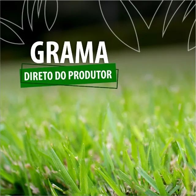 Grama Direto da Roça