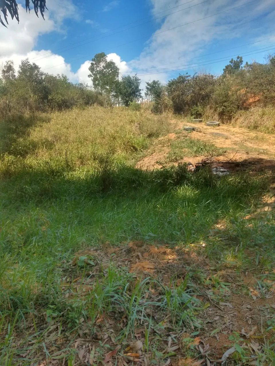 Terreno com uma pequena mata nativa - Foto 5