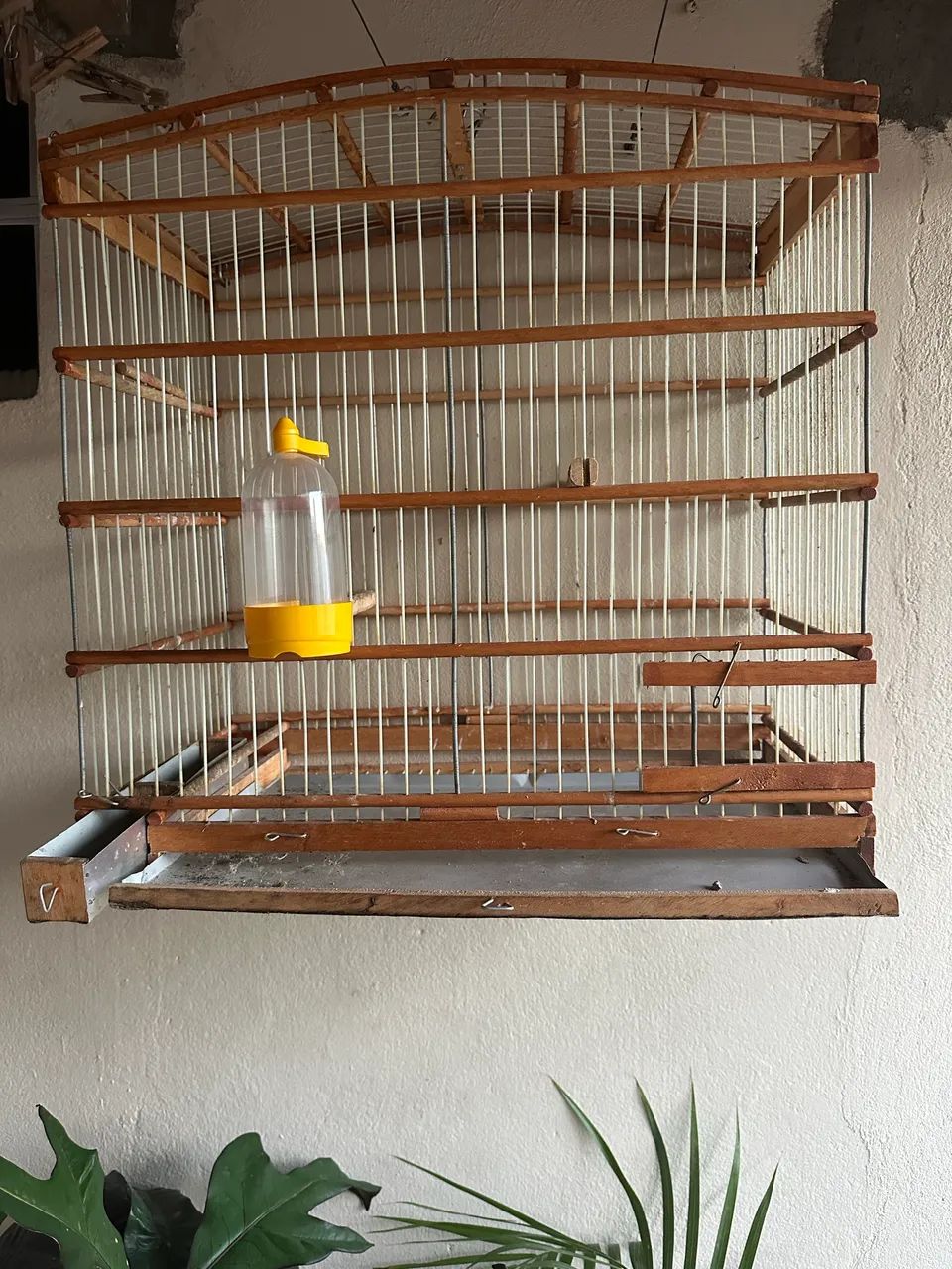 Gaiola de pássaro 64861039777923123