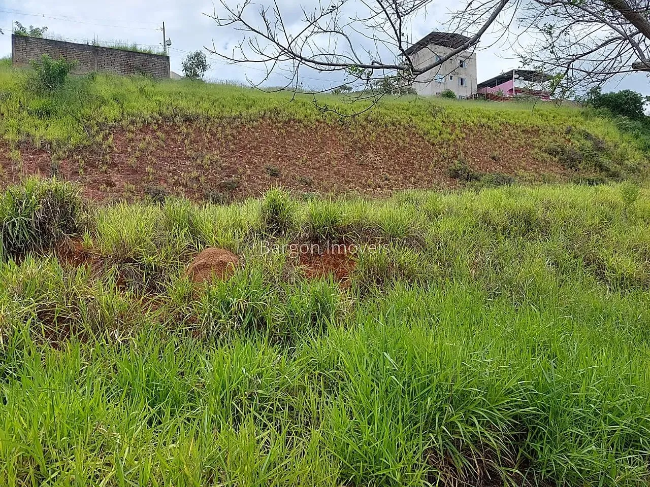 Terreno de 300 metros quadrados com platô para venda no Bairro Miguel Marinho em Juiz de F