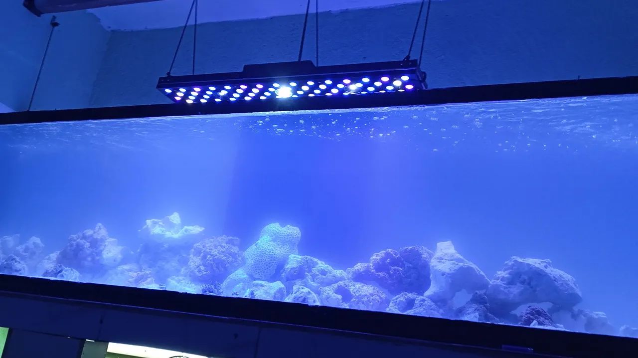 Iluminação LED para Aquário