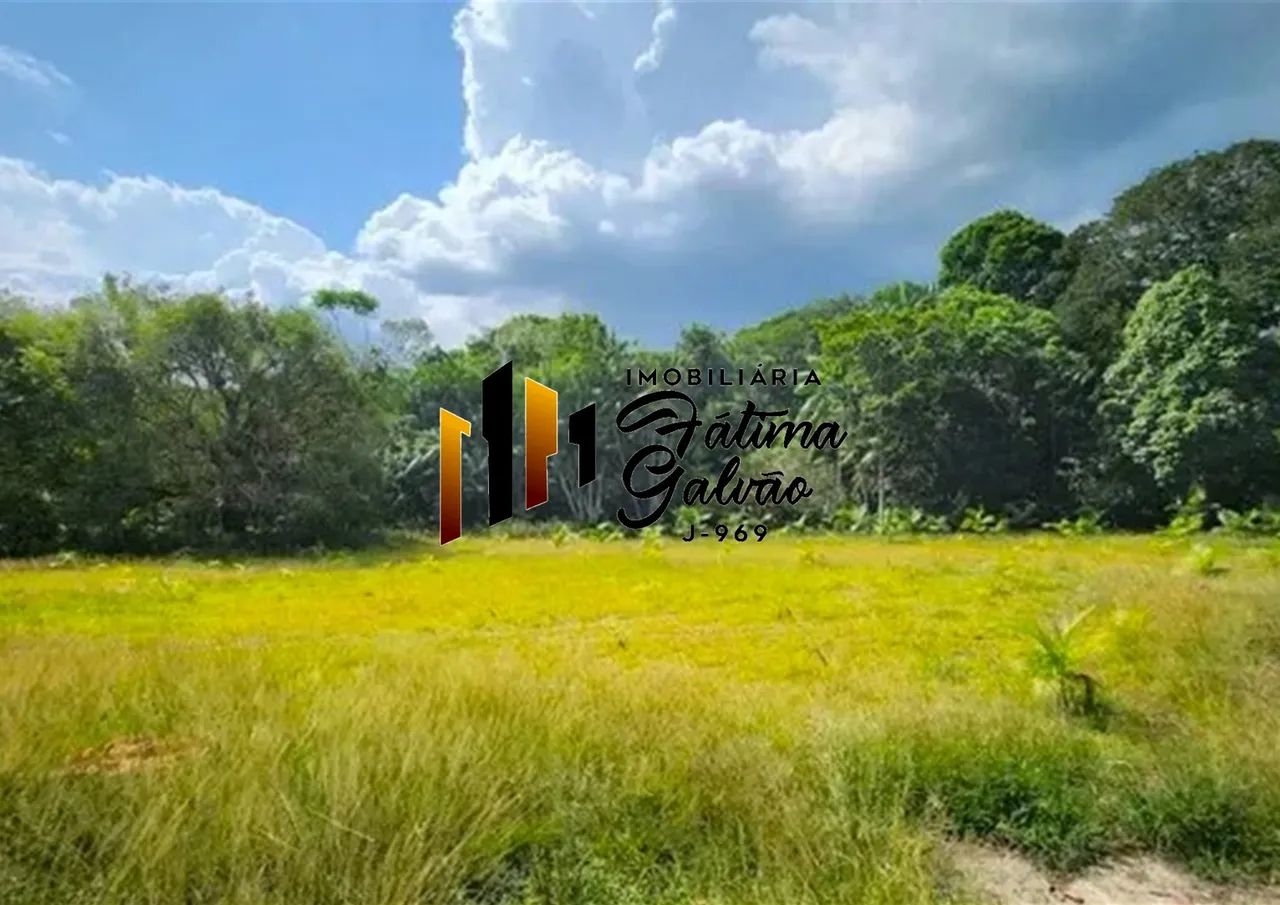 Vendo Sítio com Igarapé na Estrada de Mosqueiro - Foto 5