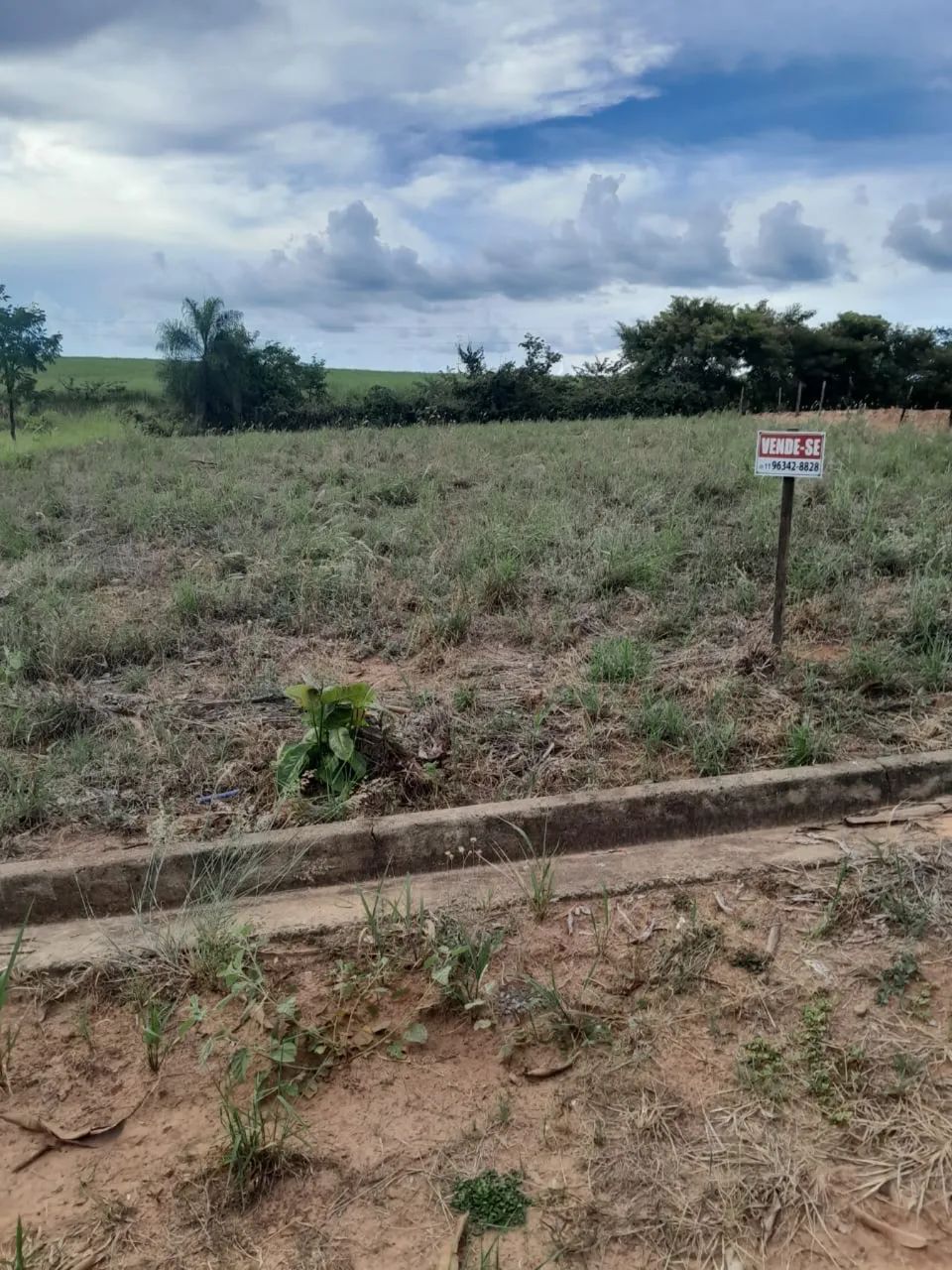 Foto - São Paulo - Barra Funda