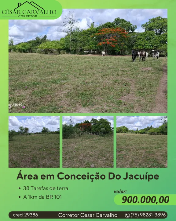 ÁREA EM CONCEIÇÃO DO JACUÍPE - 38 TAREFAS