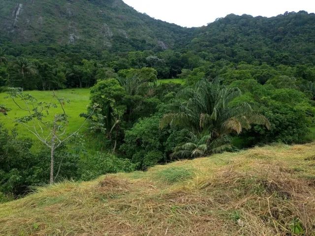 Seu Refúgio na Serra de Macaé a Partir de R$ 80 Mil! ? - Foto 4