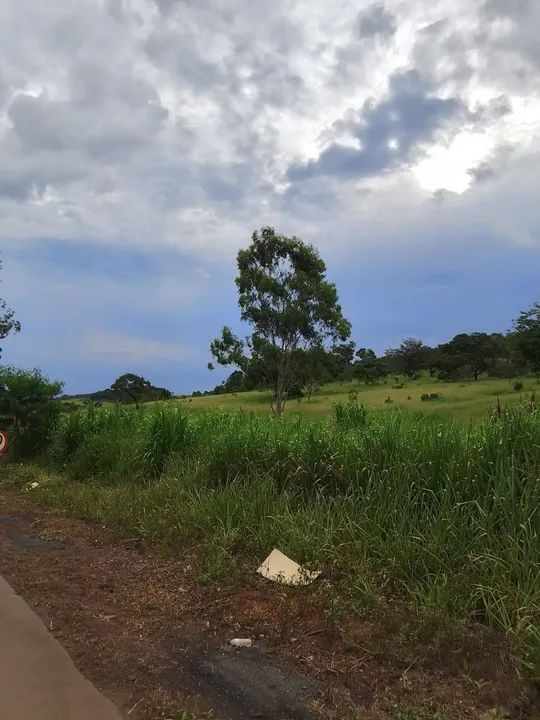 Terreno com 5 hectares