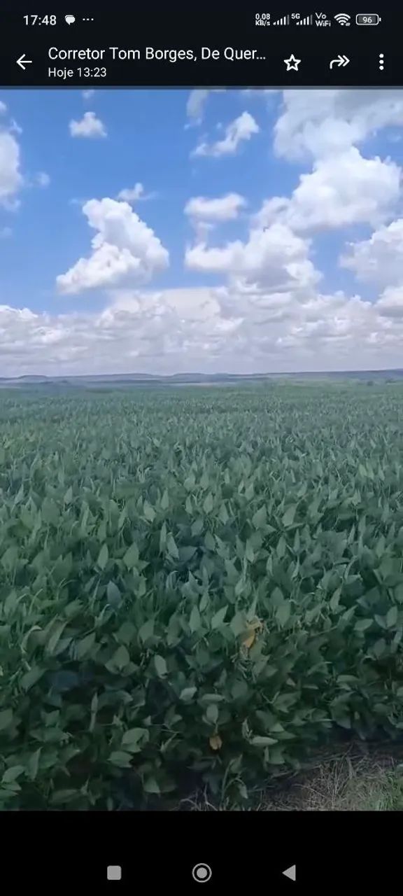 Fazenda de arrendamento 2.340 hec plantando   - Foto 4