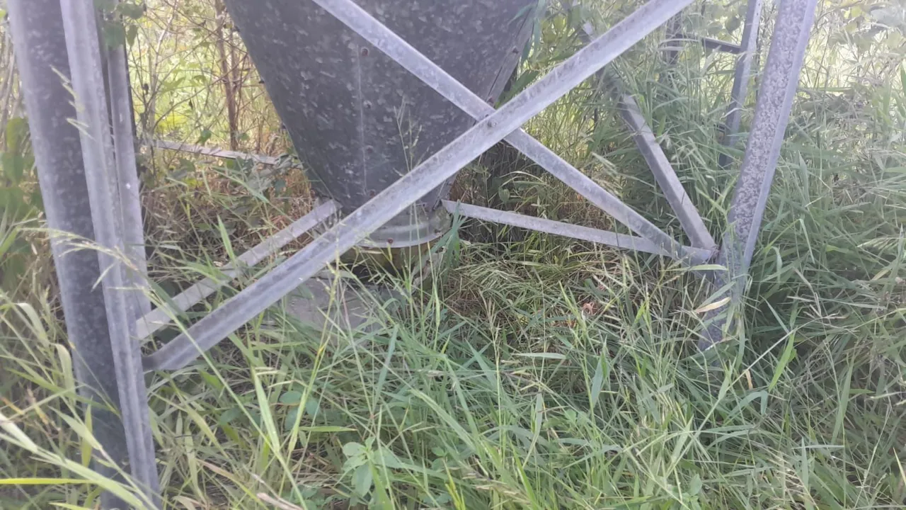 Silo de armazenamento de ração