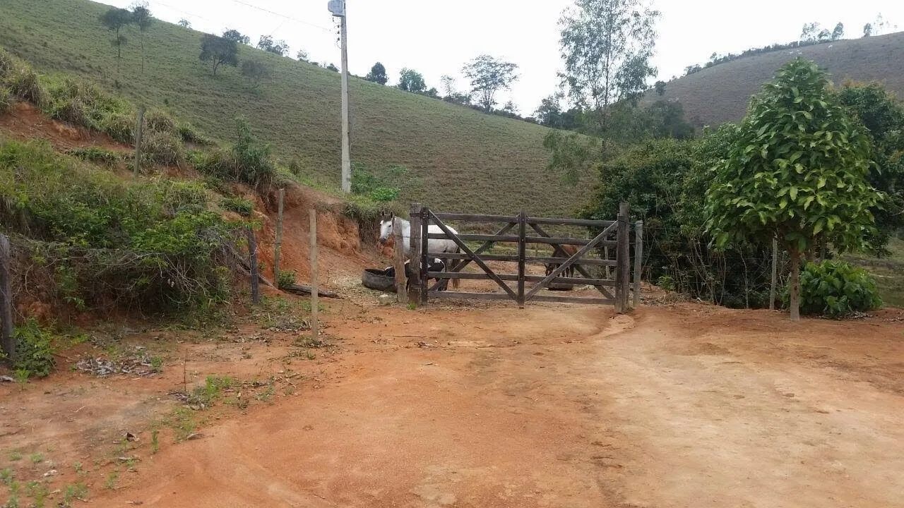 FAZENDA EM MINAS GERAIS, RICA EM AGUA E PASTOS - Foto 4