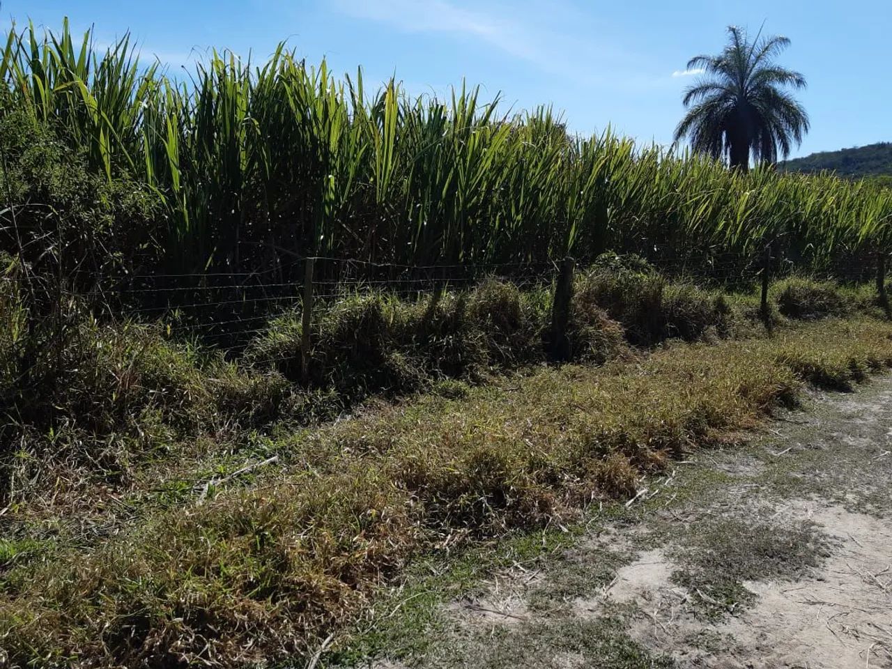 Fazenda perto de Belo Horizonte  - Foto 4