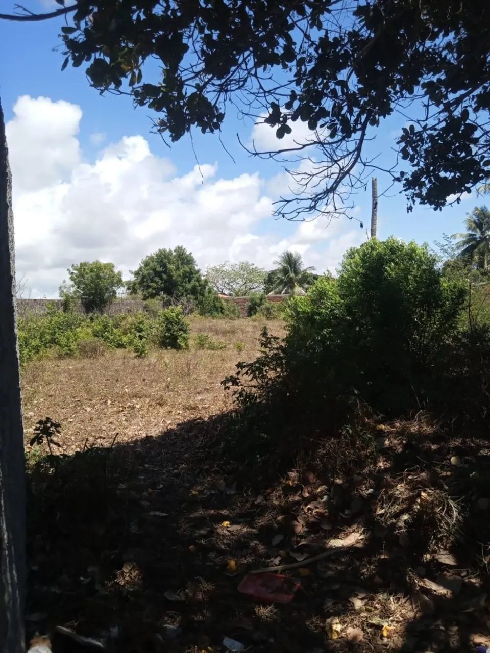 TERRENO NO MOSQUEIRO - MATAPOÃ