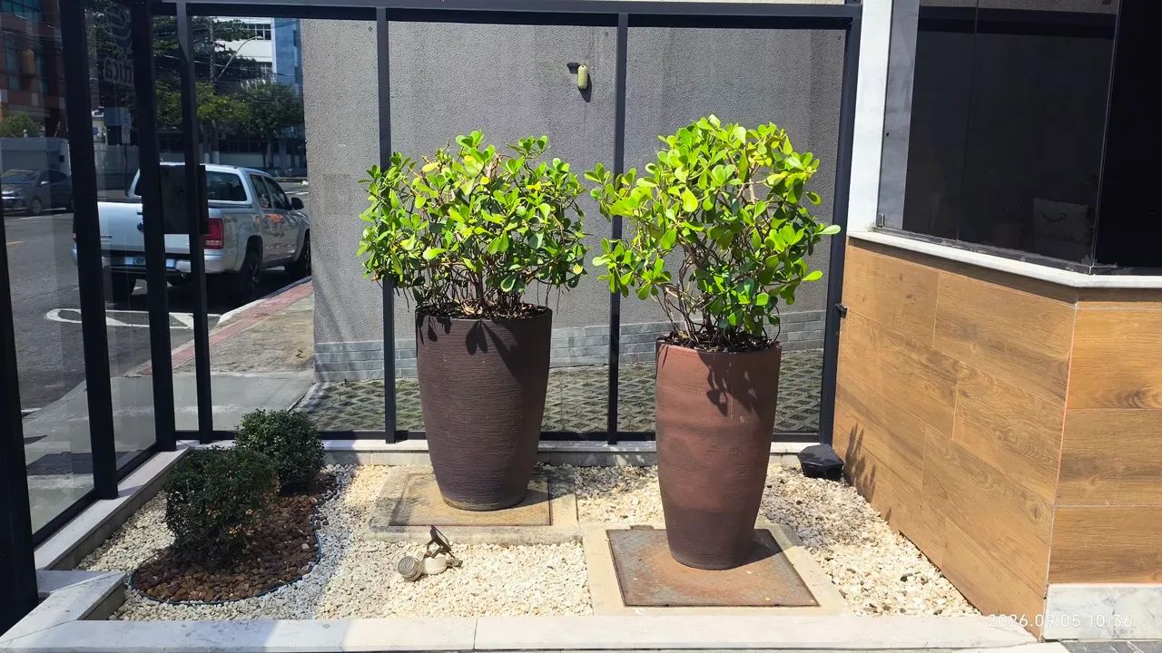Jardinagem e manutenção  - Foto 5