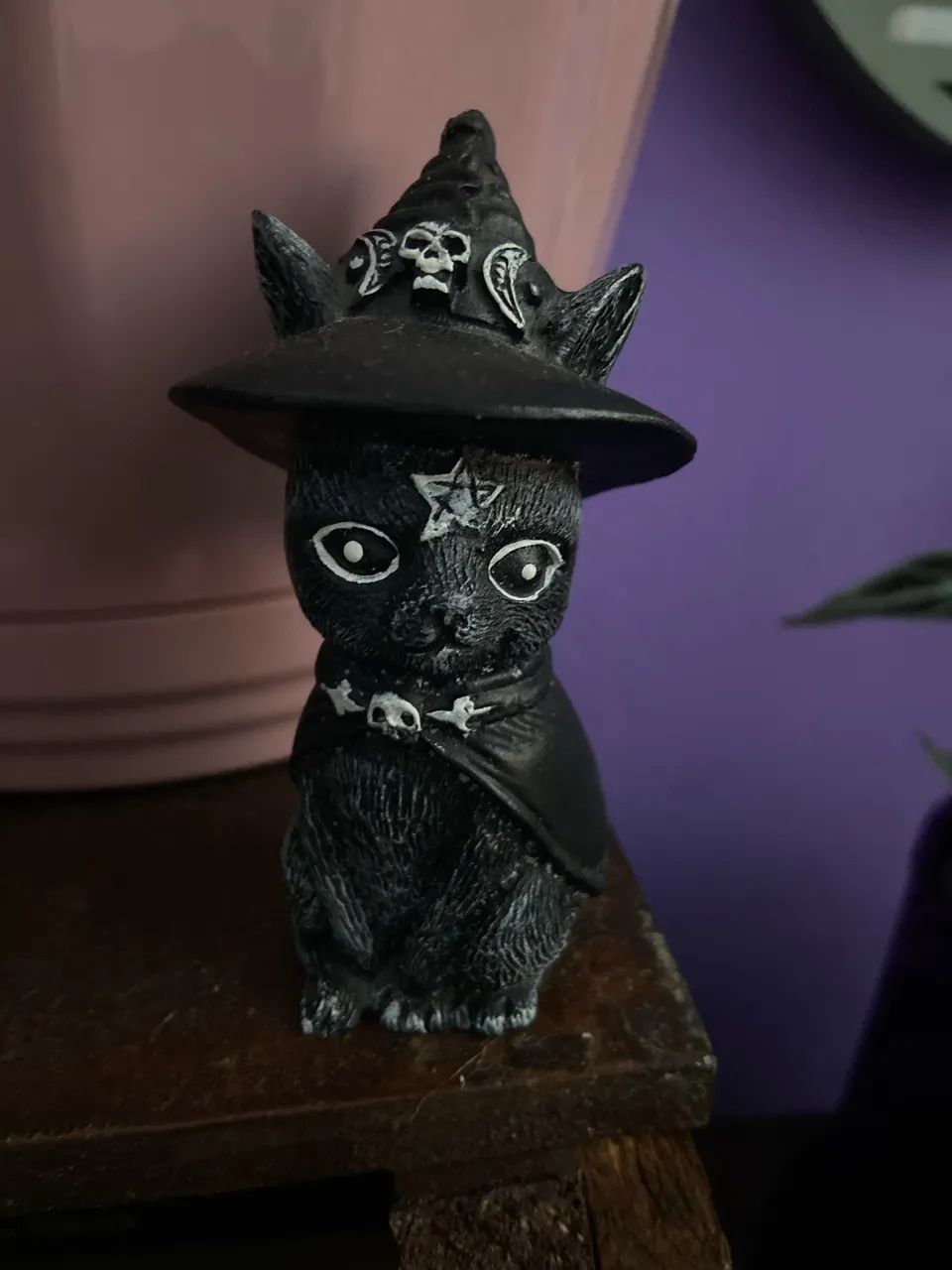 Gato místico  - Foto 4