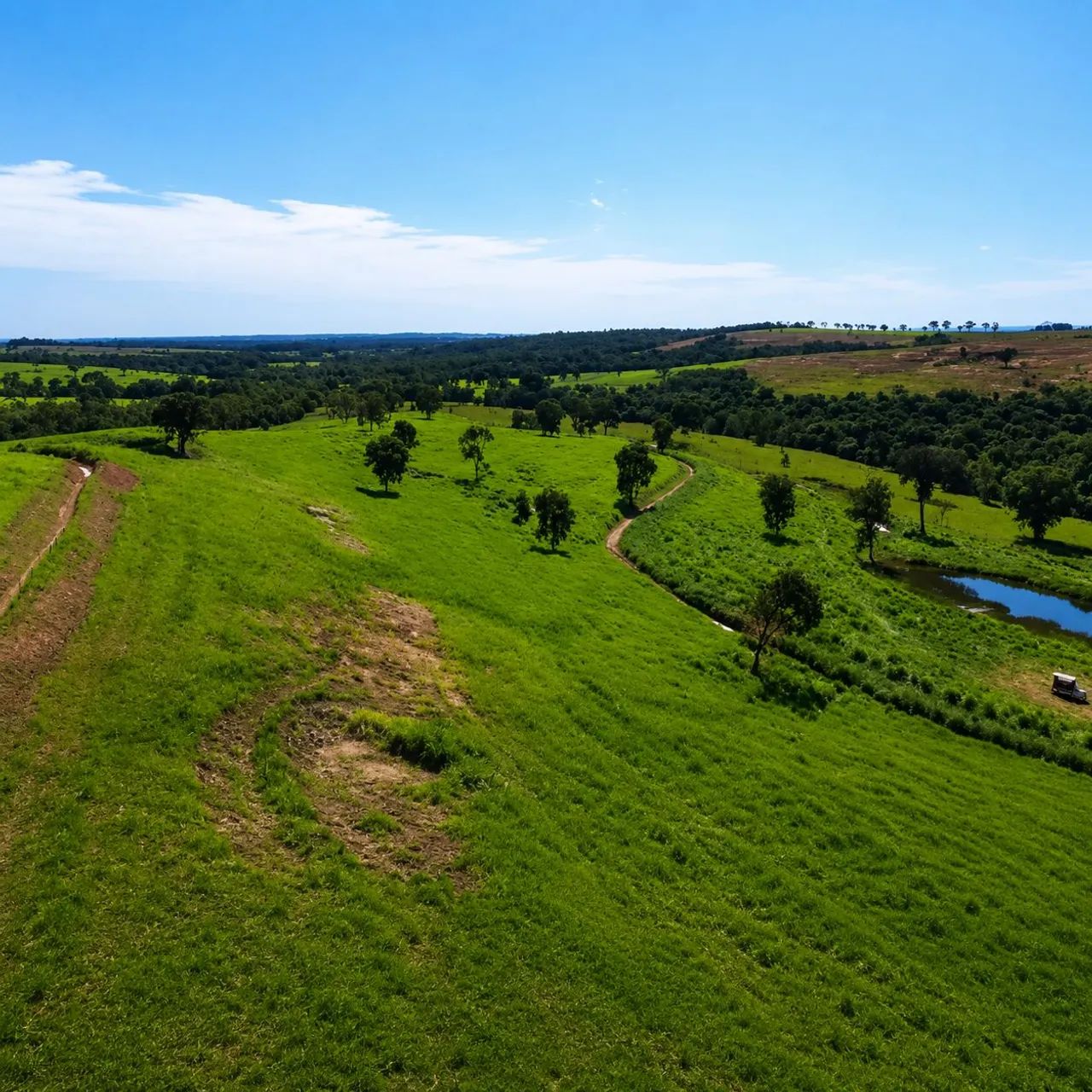 Fazenda Pecuária - Foto 3