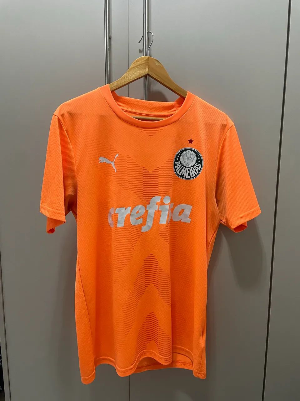 Palmeiras 2023 - Foto 2