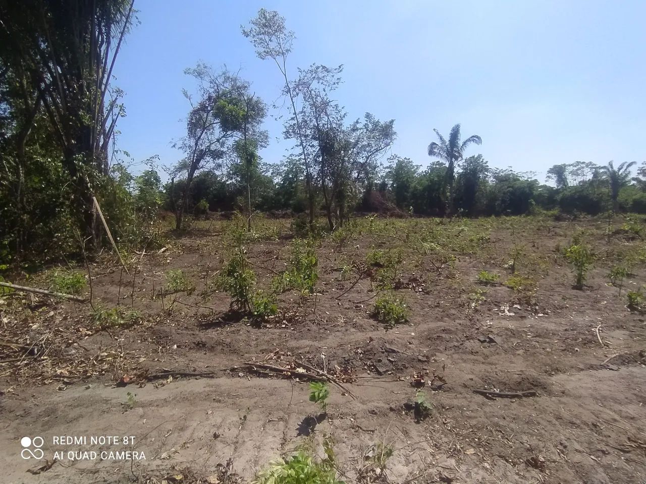 VENDO 5 LOTES SÍTIO NOVO TOCANTINS - Foto 2