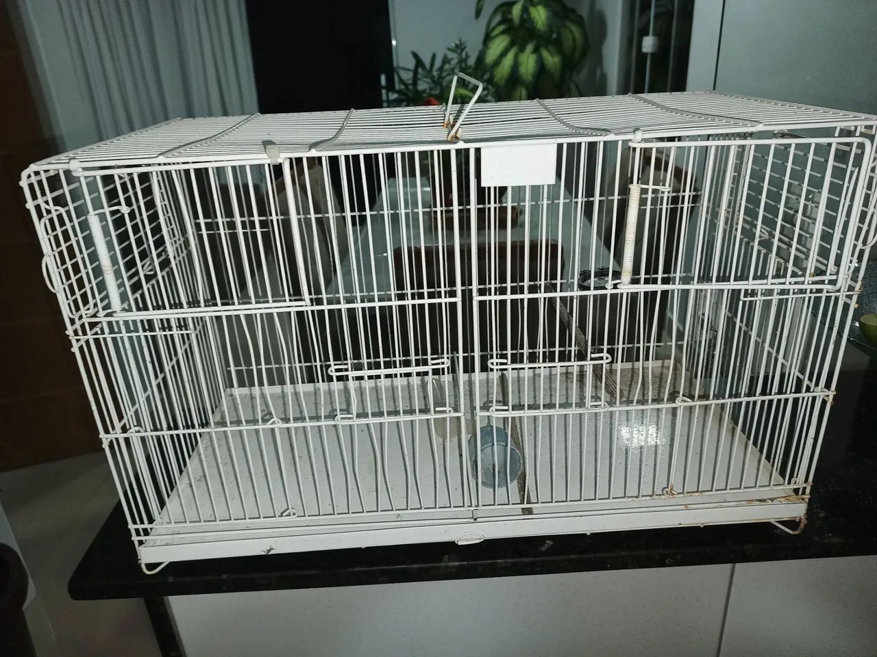 Gaiola criação 