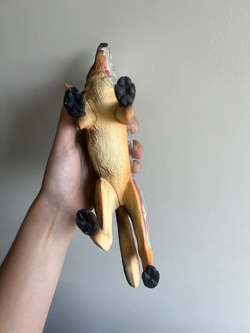 Anatomia do Cachorro 4D Desmontável - Foto 4