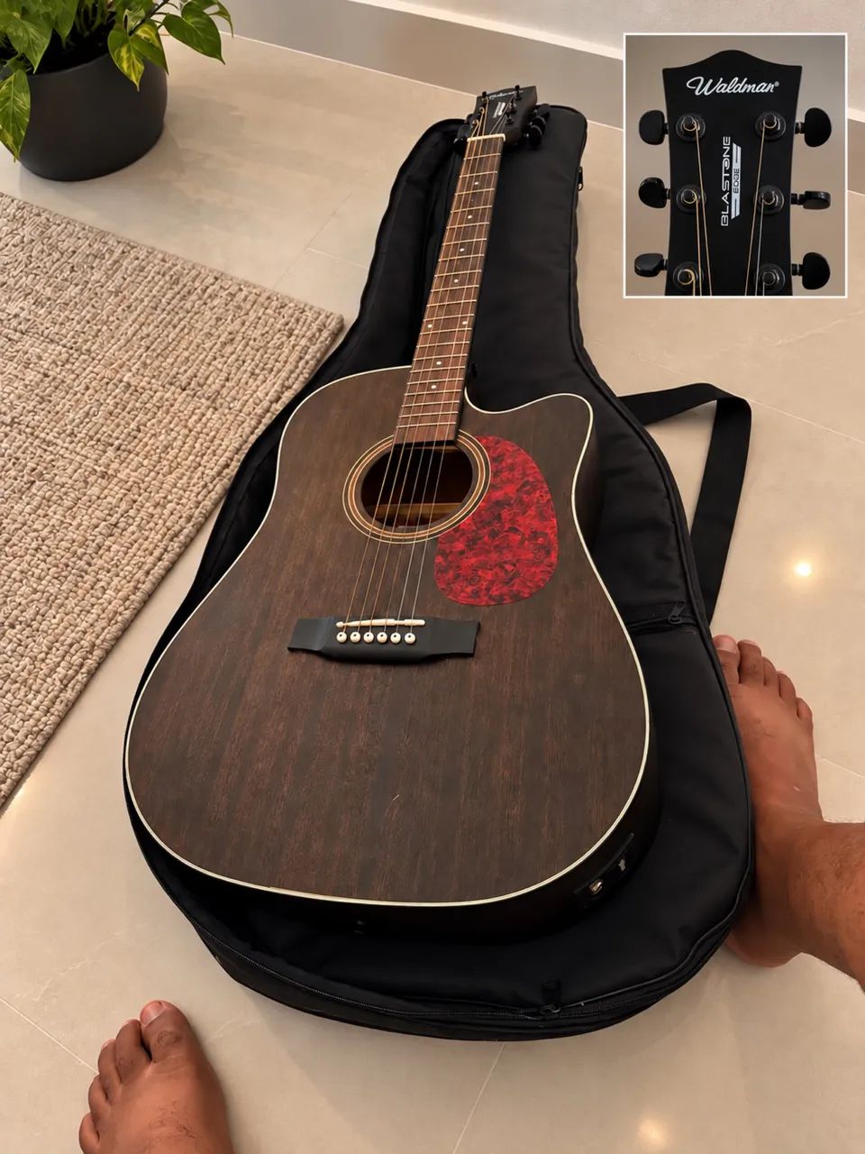 Violão Waldman