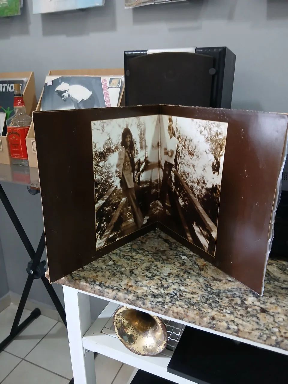 Vinil Carpenters - Foto 3