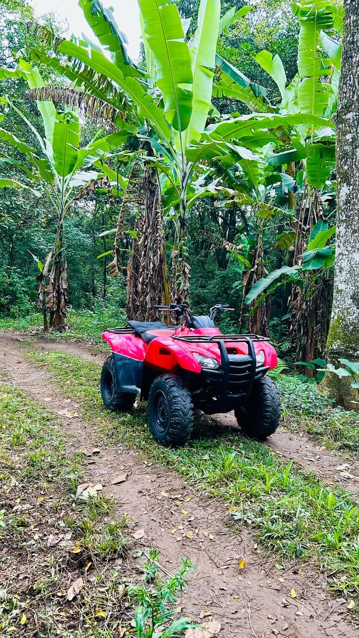 Honda Fourtrax 