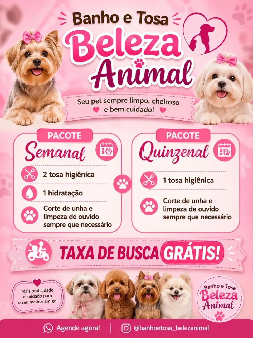 Banho e tosa  - Foto 2